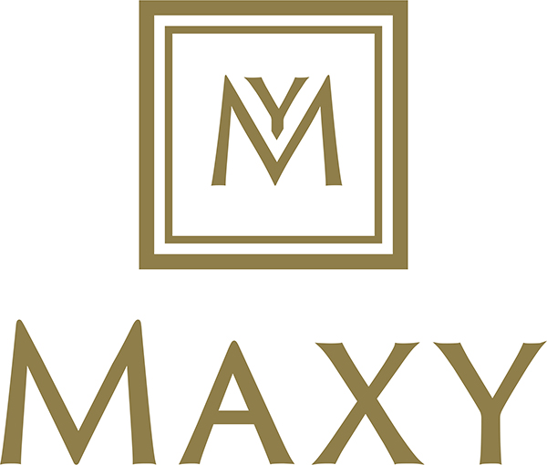 株式会社MAXY